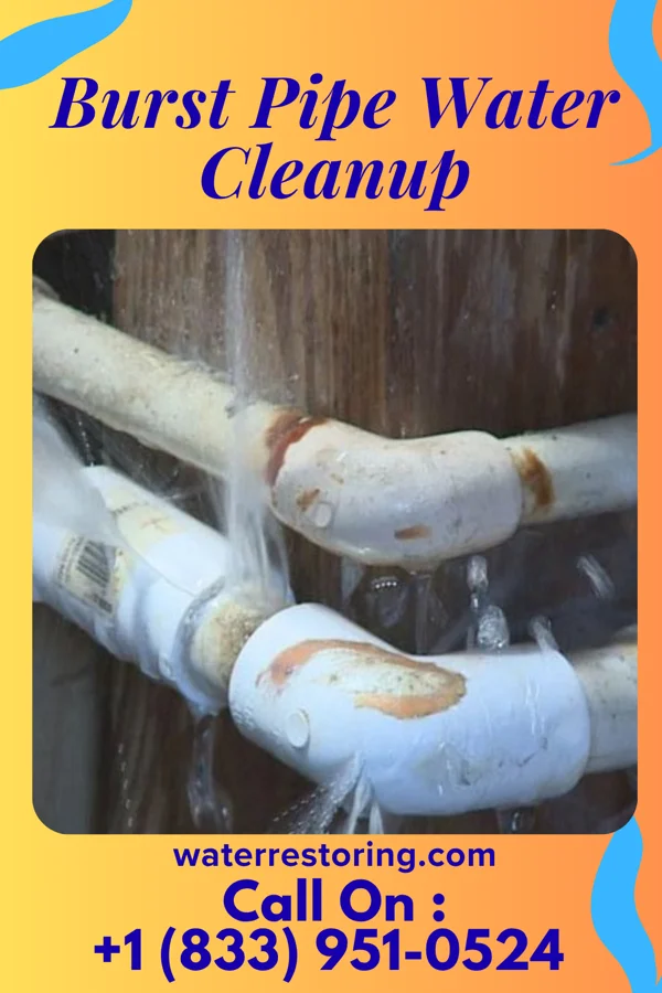 Burst Pipe Water Cleanup in Poplar, MT