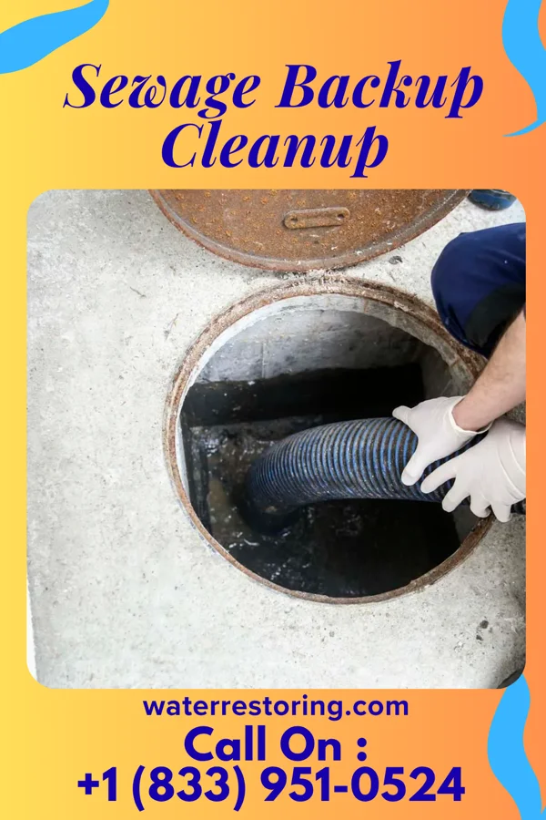 Sewage Backup Cleanup in Poplar, MT